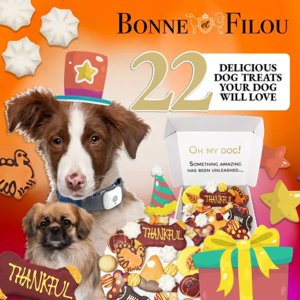 Thankful Themed Dog Treats Gift Box - Image 6