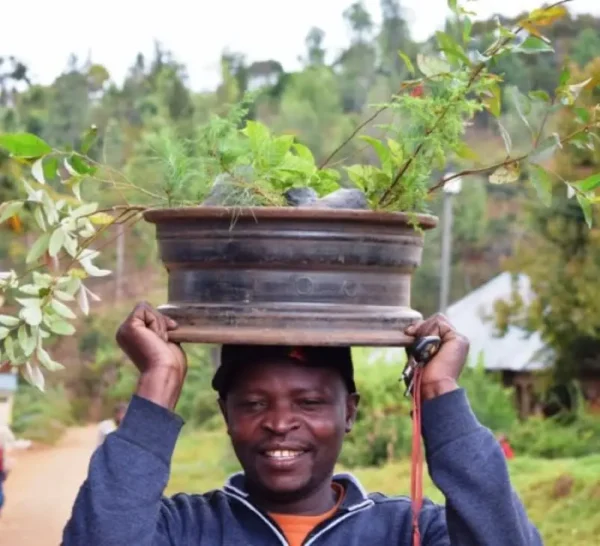 Happy Thanksgiving, We Plant 10 More Trees - Image 4